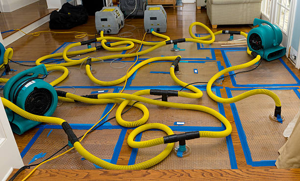 Professional Crawl Space Water Removal technician working in Jeromesville, OH